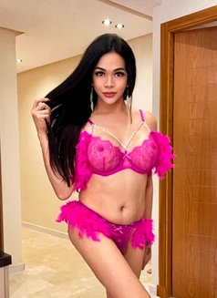 ROXXANNE new Misstress in town - Acompañantes transexual in Casablanca Photo 26 of 26