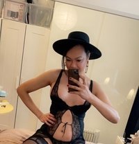 Roxy Asian - Transsexual escort in Paris