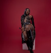 Roxy - escort in Casablanca