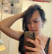Roxy Asian - Transsexual escort in Paris