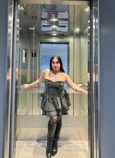 Roxy Francine - Transsexual escort in Pattaya Photo 1 of 7