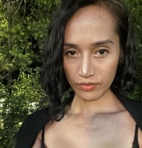 Roxy Rivas - Transsexual escort in Al Sohar