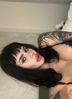 Roxy - escort in London Photo 2 of 16