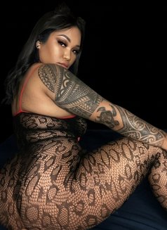 Roxy new here - escort in Okinawa Island Photo 8 of 12