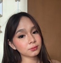Roxyy - Transsexual escort in Manila