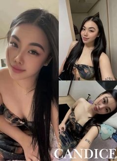 Royal Exquisite Spa - masseuse in Angeles City Photo 24 of 24
