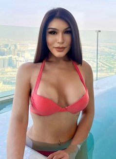 ROYALTY WILDEST DREAM SANDRA - Transsexual escort in Dubai Photo 26 of 29