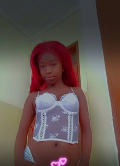 Rozete - puta in Mombasa Photo 2 of 4