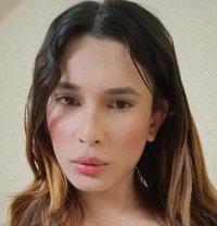 Rozy Ts - Transsexual escort in Surat