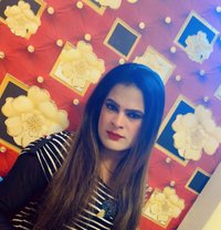 Rubiroy - Acompañantes transexual in New Delhi