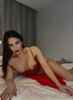 Obey*Ruby now - Transsexual escort in Bangkok Photo 14 of 20