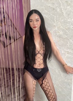 Ruby Top and Bottom Ladyboy Phuket - Transsexual escort in Phuket Photo 12 of 12