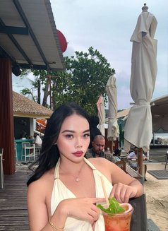 Ruby Top and Bottom Ladyboy Phuket - Transsexual escort in Phuket Photo 12 of 12