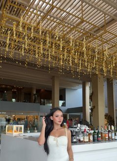 Ruby Top and Bottom - Transsexual escort in Phuket Photo 13 of 14