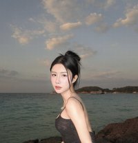 RubyBell - Transsexual escort in Bangkok