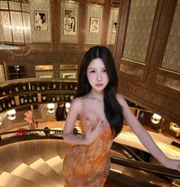 RubyBell - Acompañantes transexual in Tokyo