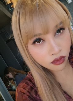 Rubyyy - Transsexual escort in Taipei Photo 29 of 29