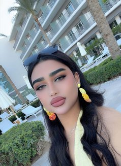 العمه رودي - Transsexual adult performer in Riyadh Photo 6 of 6