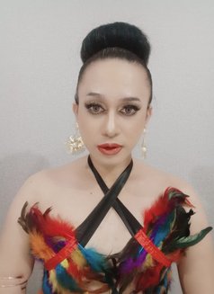 Ruhee 2025 - Acompañantes transexual in Muscat Photo 1 of 4