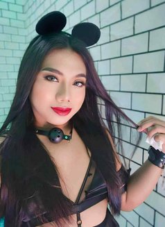 Rui Slave - Acompañantes transexual in Manila Photo 1 of 5