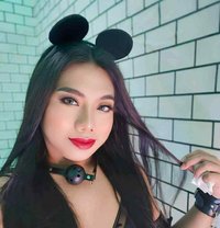 Rui Slave - Transsexual escort in Manila