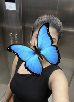 ╰┈➤ ❝ Rumi ❞ { Cam & Real Meet } Escort - escort in Bangalore Photo 3 of 6