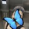 ╰┈➤ ❝ Rumi ❞ { Cam & Real Meet } Escort - escort in Bangalore Photo 3 of 5