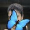 ╰┈➤ ❝ Rumi ❞ { Cam & Real Meet } Escort - escort in Bangalore Photo 4 of 5