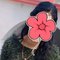 Rupa Real Meet & Cam Show - puta in Chennai Photo 3 of 5