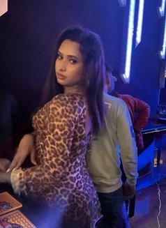Rusha Doll 🦋 Hardcore Ts - Acompañantes transexual in Chennai Photo 15 of 19