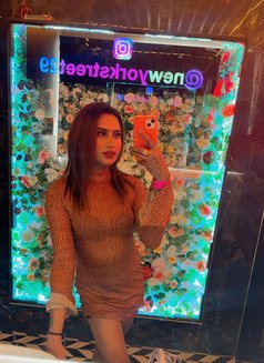 Rusha Sissy 🦋 - Transsexual escort in Hyderabad Photo 12 of 15