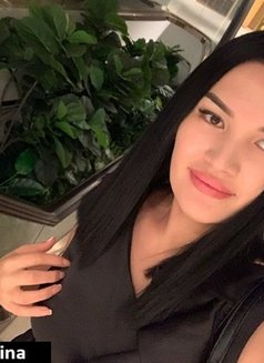 Russian Alina - escort in Pattaya Photo 3 of 18