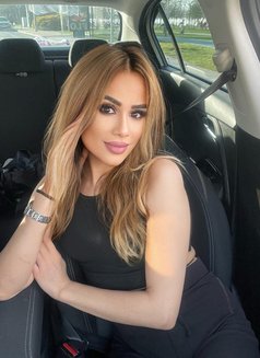 Russian Escorts - escort in Gurgaon Photo 5 of 9