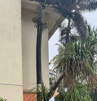 Russian, Thai, Punjubi, Tamil Many More - puta in Chennai
