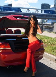 Rusya Stallion8,6inches uncut monster - Transsexual escort in Almaty Photo 4 of 9