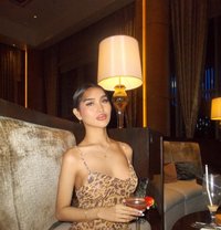 RUTH ORIENTAL - Transsexual escort in Phuket