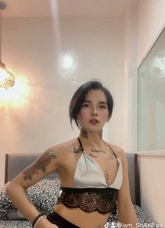 S A M - Transsexual escort in Kuwait Photo 26 of 27