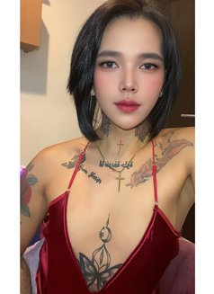 S A M - Acompañantes transexual in Kuwait Photo 25 of 30