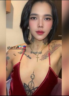 S A M - Acompañantes transexual in Kuwait Photo 27 of 30