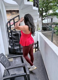 Saara J - Best Ladyboy in town - Acompañantes transexual in Colombo Photo 2 of 30