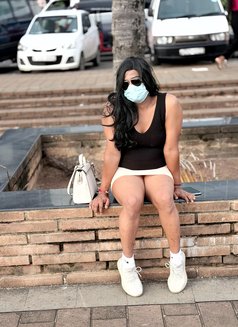 Saara J - Best Ladyboy in town - Acompañantes transexual in Colombo Photo 5 of 30