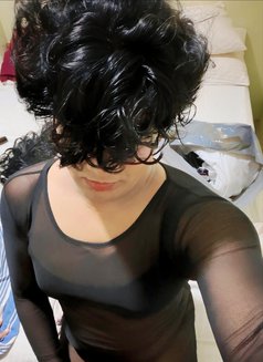 Saara J - Best Ladyboy in town - Acompañantes transexual in Colombo Photo 21 of 30