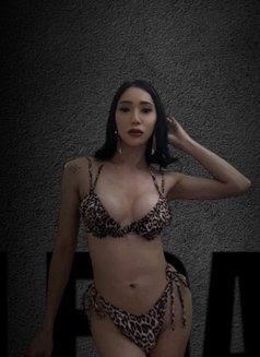 Sabina filipina 23 ladyboy🇵🇭 - Transsexual escort in Dubai Photo 7 of 14