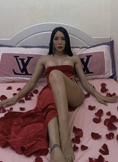 Sabina filipina 23 ladyboy🇵🇭 - Transsexual escort in Dubai Photo 12 of 14