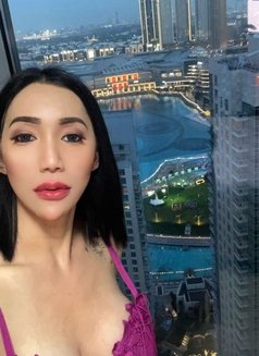 Sabina filipina 23 ladyboy🇵🇭 - Transsexual escort in Dubai Photo 13 of 14