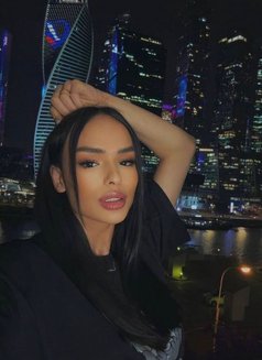 Sabina Hot Tr Mister 🇺🇦 - Transsexual escort in Doha Photo 1 of 6