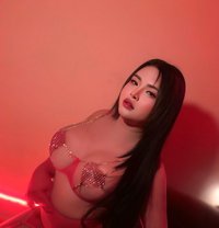 Sabina Ladyboy Thailand - masseuse in Jeddah