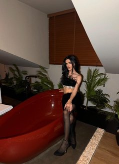 Sabrina - Transsexual escort in İstanbul Photo 2 of 16