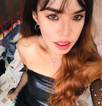 Sabrina - Acompañantes transexual in Cebu City