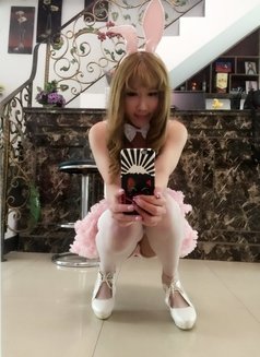 Sabrina In Shanghai - Transsexual escort agency in Shanghai Photo 17 of 19